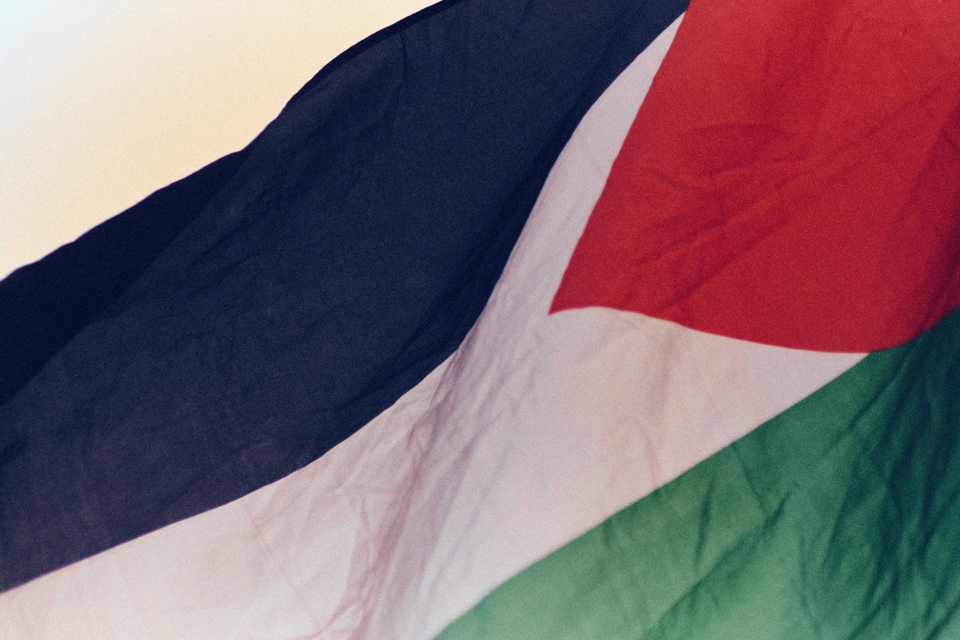 Palestinian flag with dancing crowd